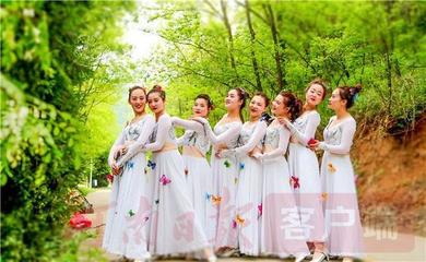 首届全球文旅创作者大会（卢氏分会场）暨2019中国卢氏槐花节精彩开幕
